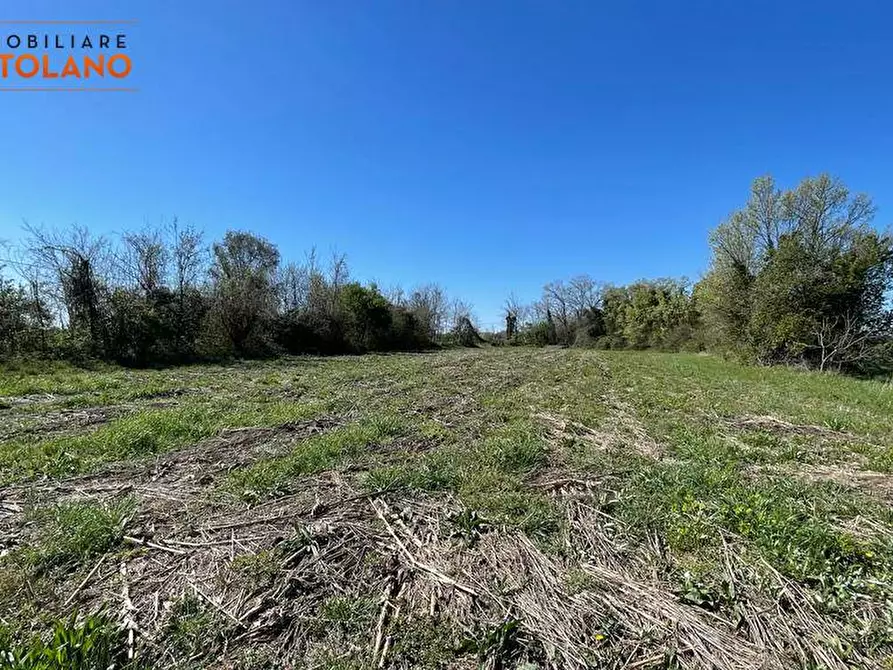 Immagine 11 di Terreno agricolo in vendita  in VIA MARCO POLO a San Canzian D'isonzo