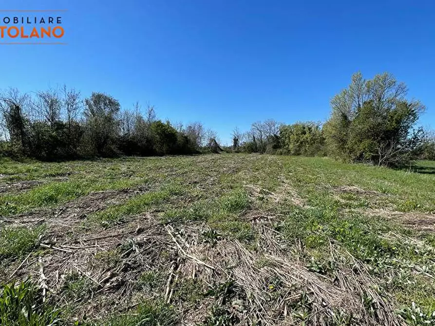 Immagine 8 di Terreno agricolo in vendita  in VIA MARCO POLO a San Canzian D'isonzo