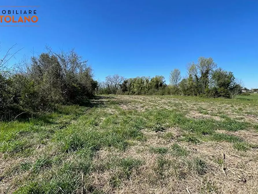 Immagine 13 di Terreno agricolo in vendita  in VIA MARCO POLO a San Canzian D'isonzo