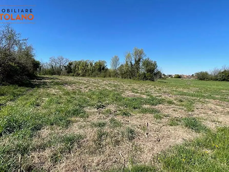 Immagine 12 di Terreno agricolo in vendita  in VIA MARCO POLO a San Canzian D'isonzo