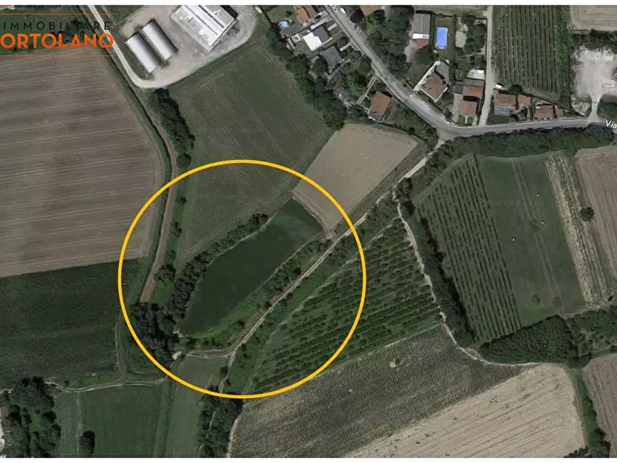 Immagine 14 di Terreno agricolo in vendita  in VIA MARCO POLO a San Canzian D'isonzo