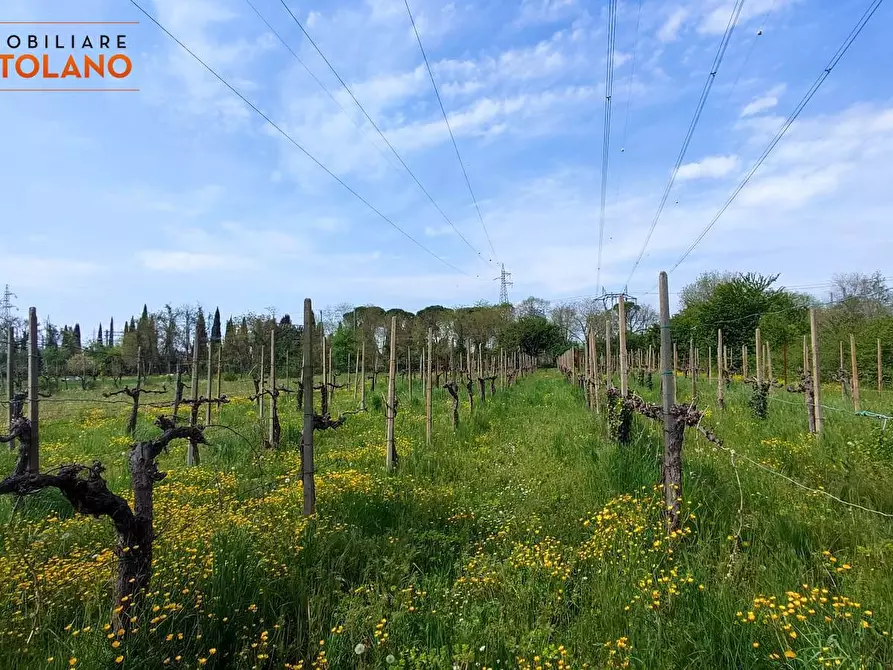 Immagine 1 di Terreno agricolo in vendita  a Fogliano Redipuglia