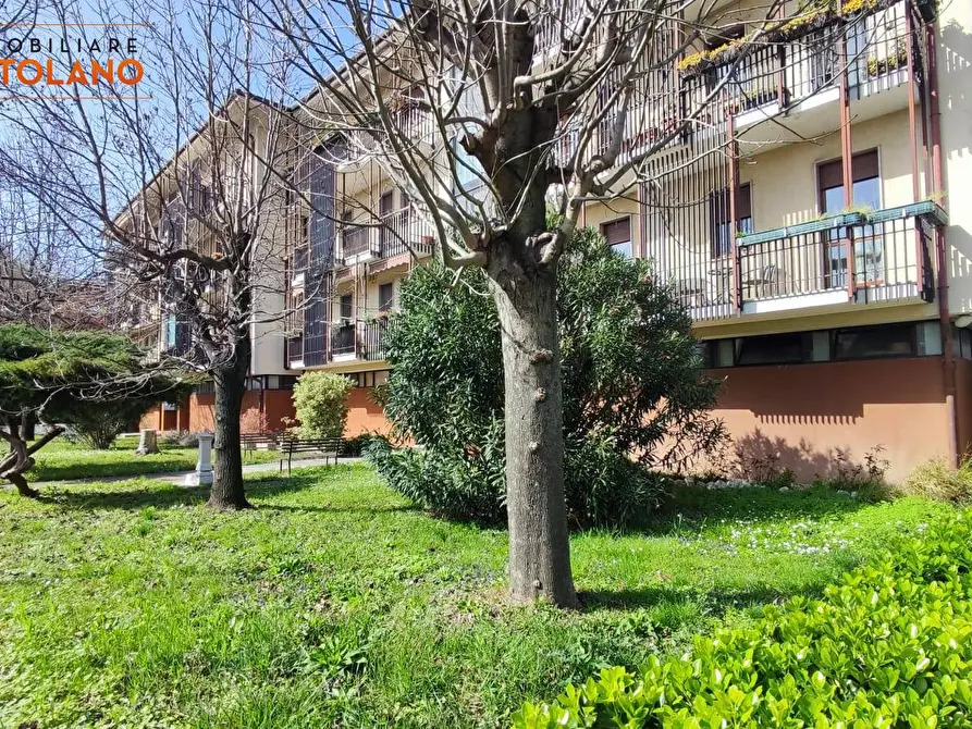 Immagine 4 di Appartamento in vendita  in Gramsci a Monfalcone