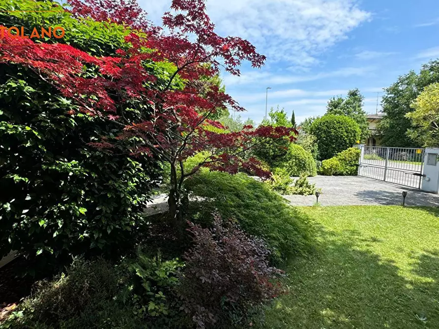 Immagine 16 di Villa in vendita  a Sagrado