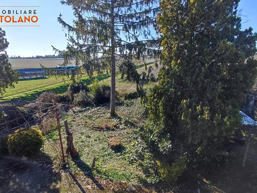 Immagine 24 di Villa in vendita  in via Isonzo Vecchio a Grado