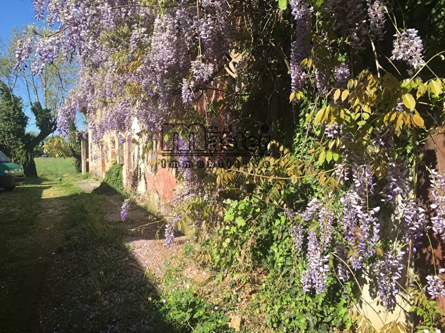 Immagine 1 di Rustico / casale in vendita  in Via Pastori a Treviso