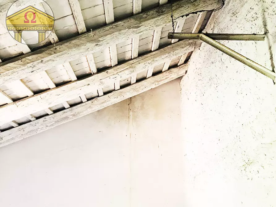 Immagine 6 di Rustico / casale in vendita  a Villorba