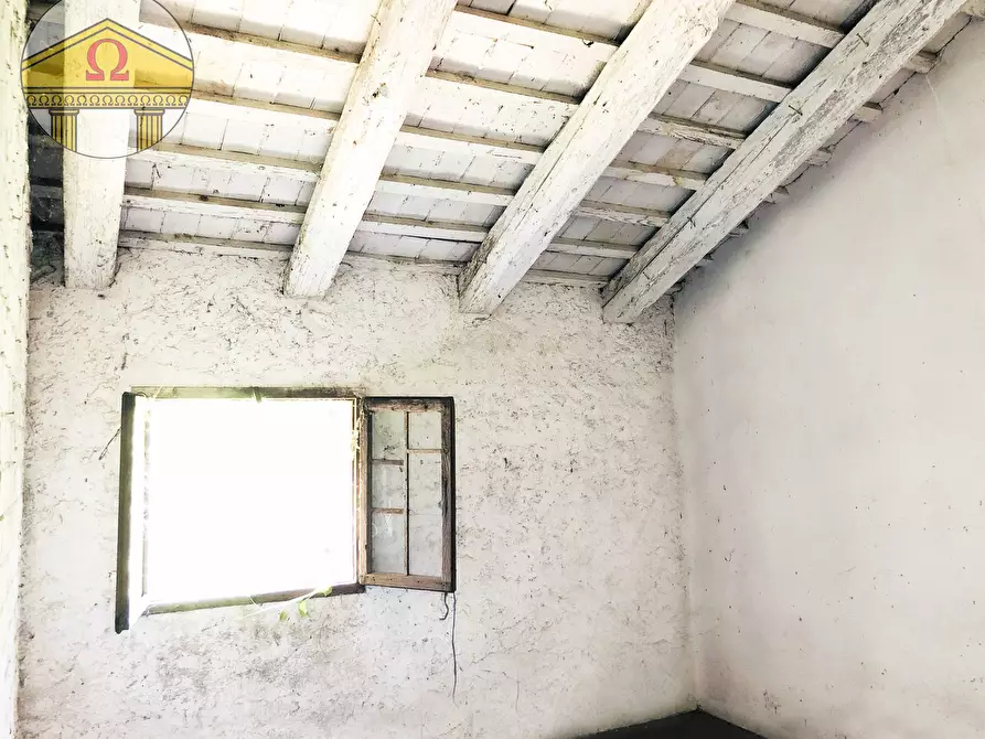 Immagine 7 di Rustico / casale in vendita  a Villorba