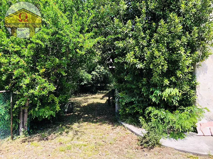 Immagine 9 di Rustico / casale in vendita  a Villorba