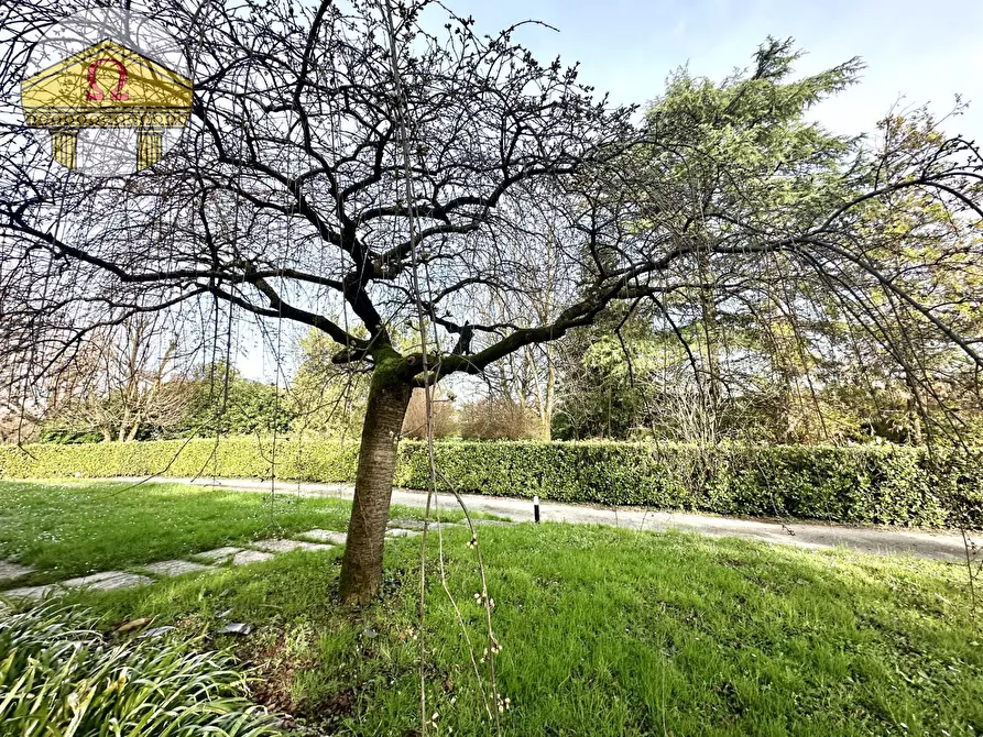 Immagine 16 di Villa in vendita  a Villorba