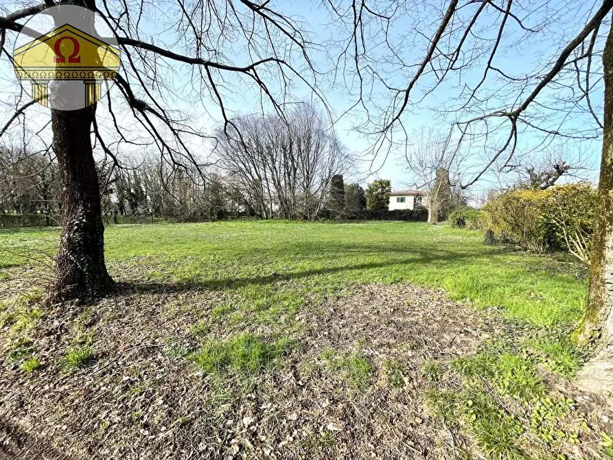 Immagine 11 di Villa in vendita  a Villorba