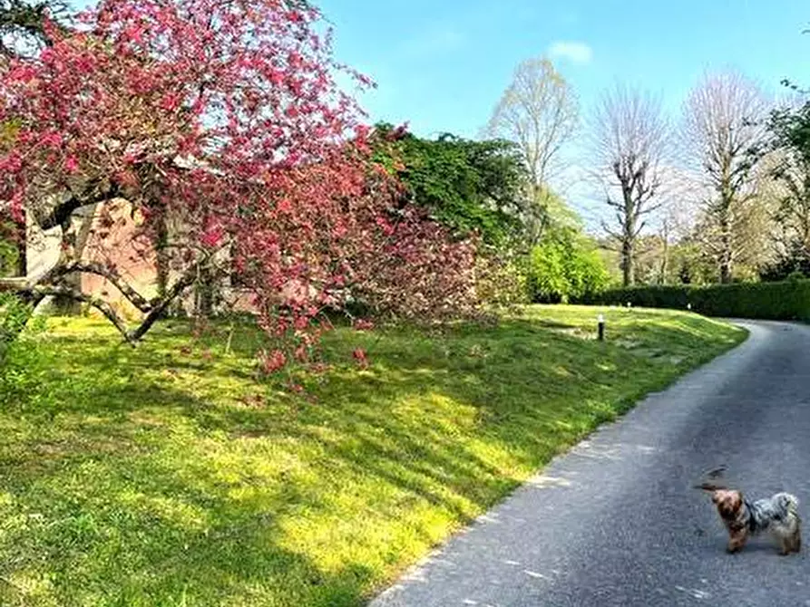 Immagine 10 di Villa in vendita  a Villorba