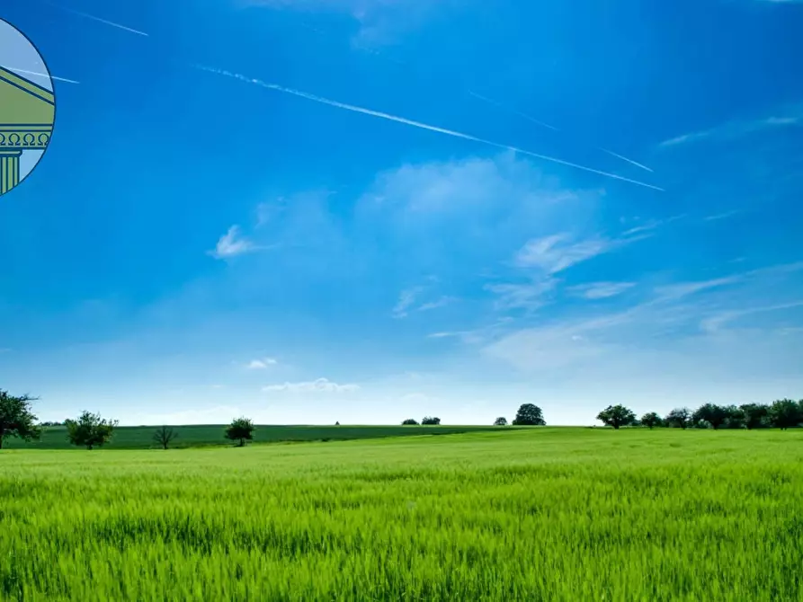 Immagine 1 di Terreno agricolo in vendita  a Villorba
