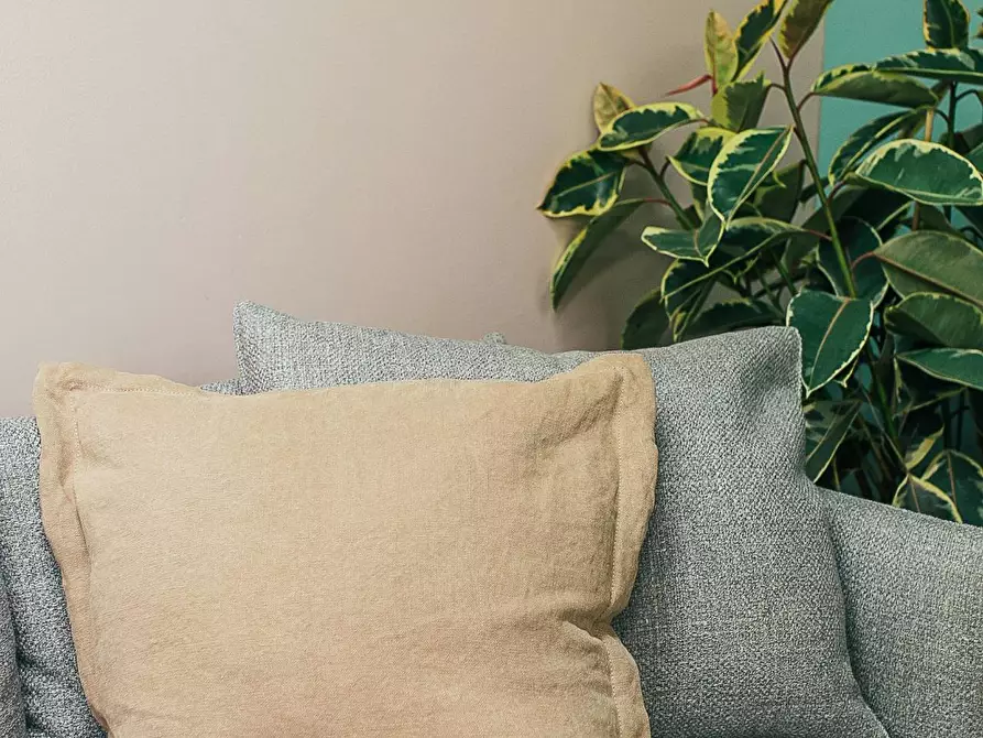 Immagine 4 di Appartamento in vendita  a Treviso