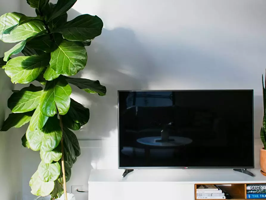 Immagine 1 di Appartamento in vendita  a Treviso