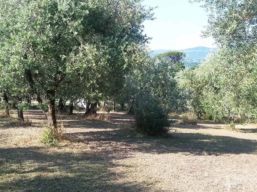 Immagine 9 di Villa in vendita  in Via Fontana Pezzente a Mirabella Eclano