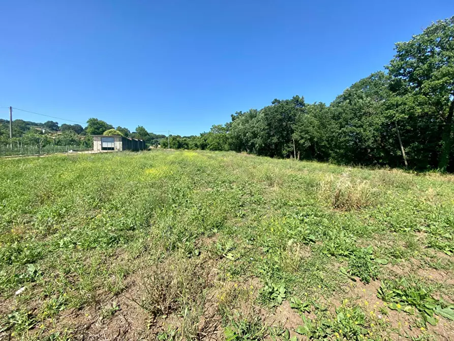 Immagine 2 di Terreno residenziale in vendita  in Contrada Bosco a Mirabella Eclano