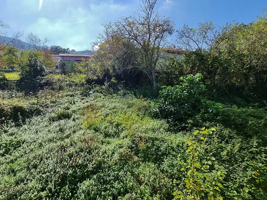Immagine 6 di Casa indipendente in vendita  in Molini a Trevico