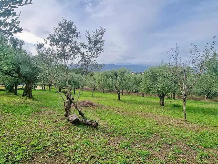 Immagine 6 di Villa in vendita  in Via Fontana Pezzente a Mirabella Eclano