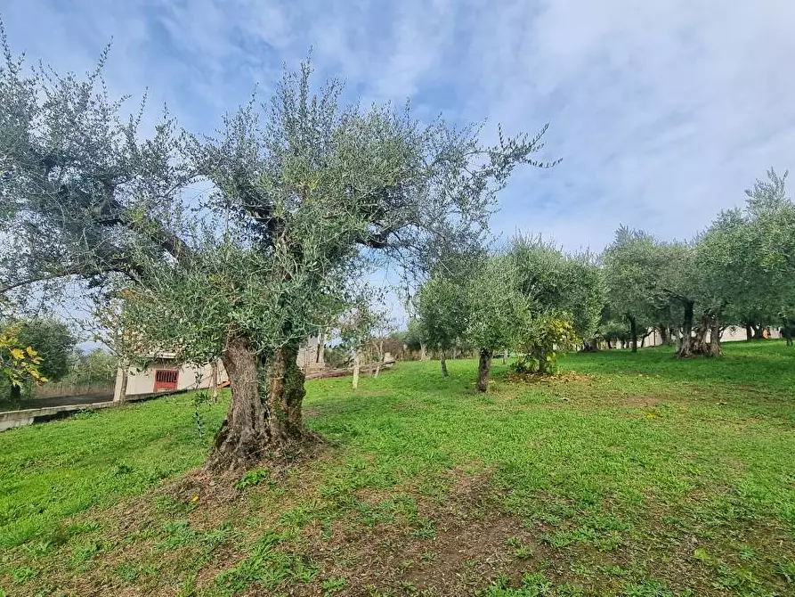 Immagine 5 di Villa in vendita  in Via Fontana Pezzente a Mirabella Eclano