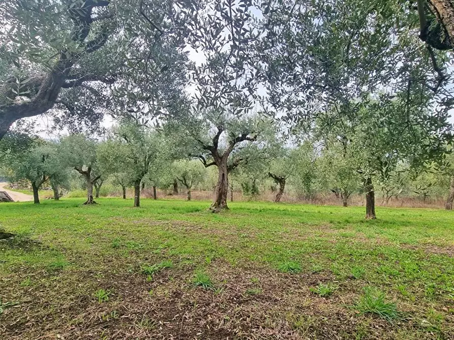 Immagine 7 di Villa in vendita  in Via Fontana Pezzente a Mirabella Eclano
