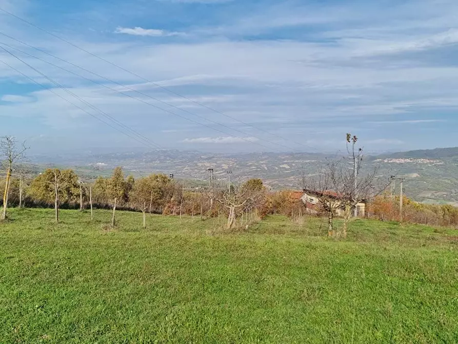 Immagine 9 di Casa bifamiliare in vendita  in Strada Statale 303 a Guardia Lombardi