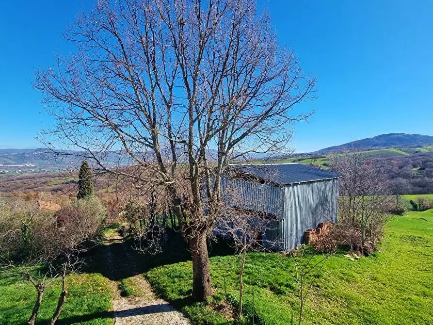 Immagine 20 di Casa indipendente in vendita  in Contrada Sant'Andrea a Grottaminarda