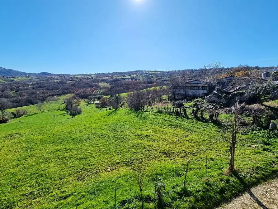 Immagine 22 di Casa indipendente in vendita  in Contrada Sant'Andrea a Grottaminarda