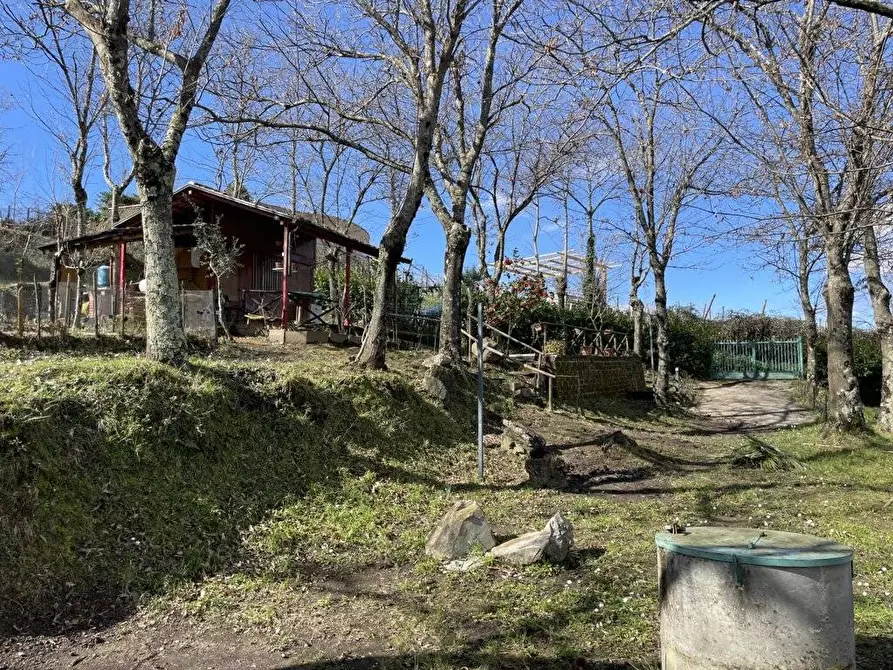 Immagine 1 di Terreno agricolo in vendita  in Via bosco Satrano a San Michele Di Serino