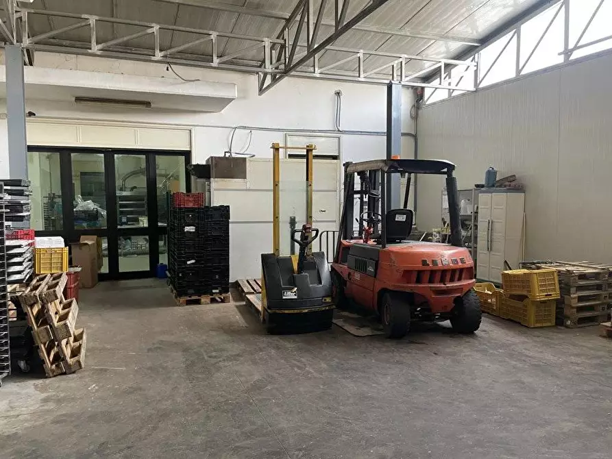 Immagine 22 di Laboratorio in vendita  in chiusa di sotto a Ospedaletto D'alpinolo