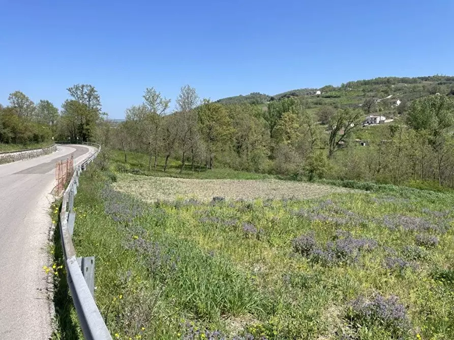 Immagine 4 di Terreno agricolo in vendita  in Casa Arsa a Montemarano