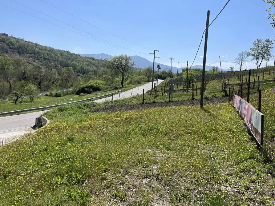 Immagine 10 di Terreno agricolo in vendita  in Casa Arsa a Montemarano