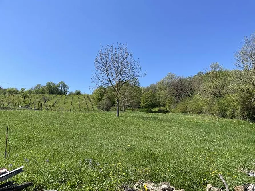 Immagine 11 di Terreno agricolo in vendita  in Casa Arsa a Montemarano
