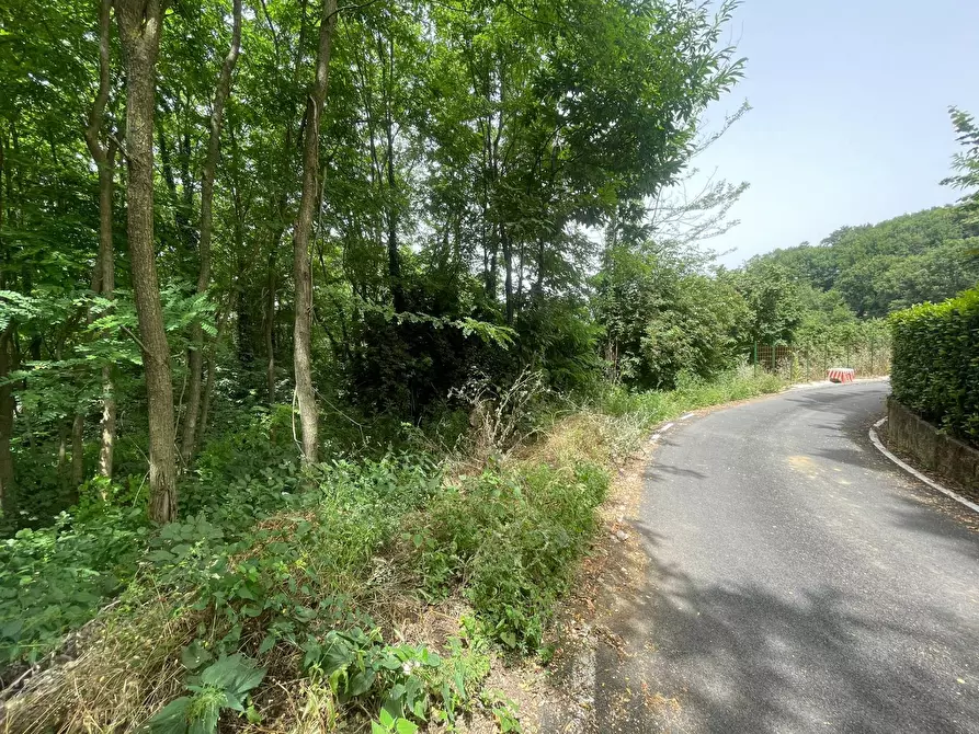 Immagine 1 di Terreno agricolo in vendita  in via Moravia a Atripalda