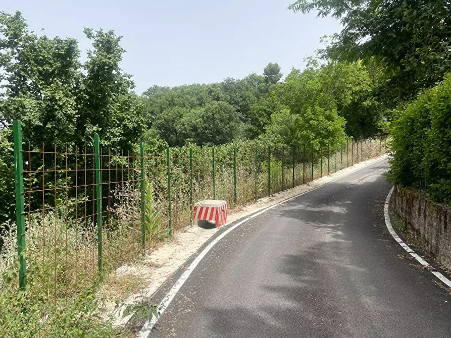 Immagine 5 di Terreno agricolo in vendita  in via Moravia a Atripalda