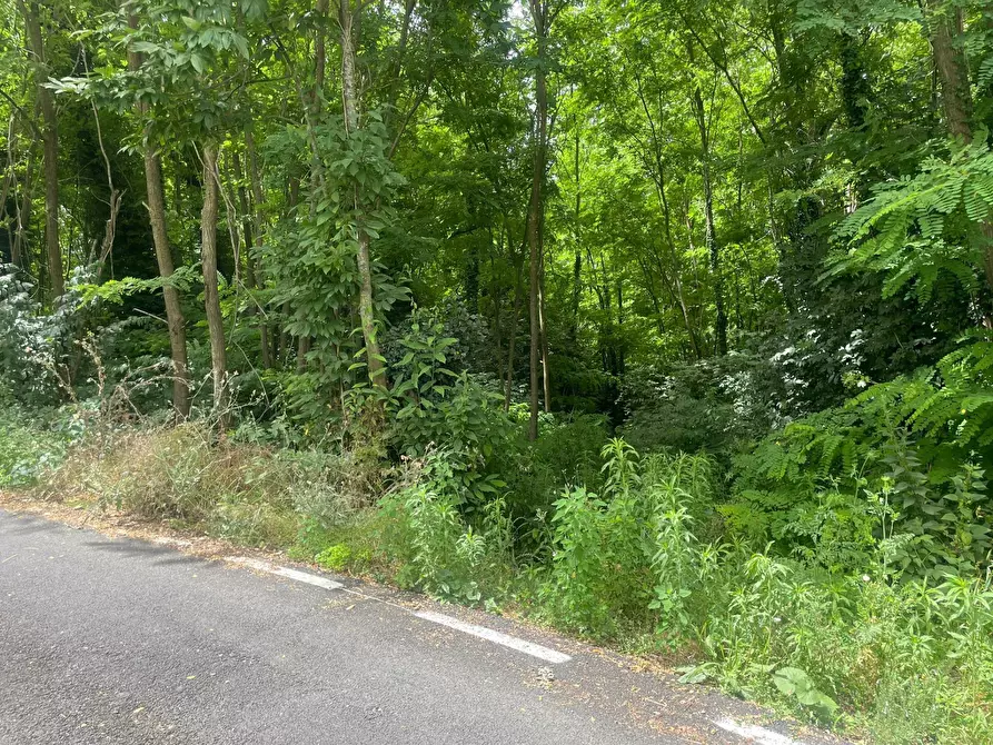 Immagine 7 di Terreno agricolo in vendita  in via Moravia a Atripalda