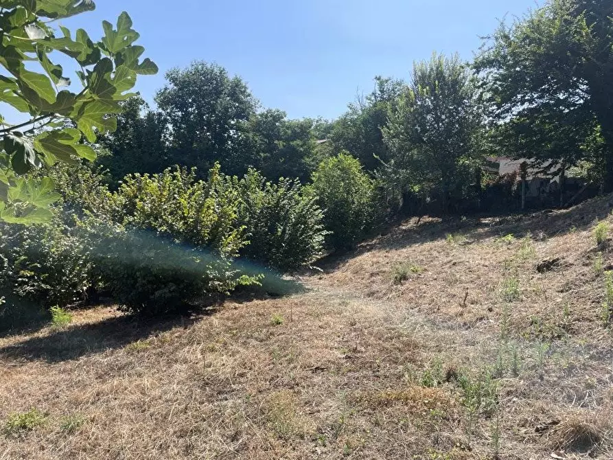 Immagine 3 di Terreno agricolo in vendita  in Contrada Castello a Atripalda