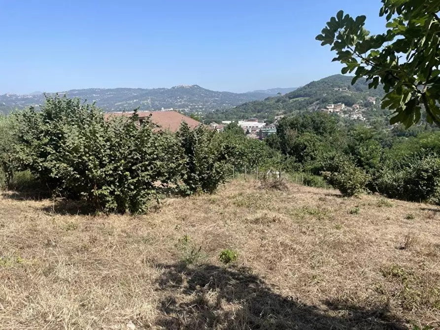Immagine 4 di Terreno agricolo in vendita  in Contrada Castello a Atripalda
