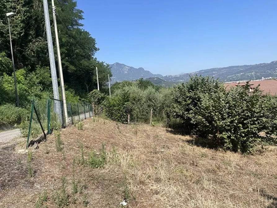 Immagine 5 di Terreno agricolo in vendita  in Contrada Castello a Atripalda