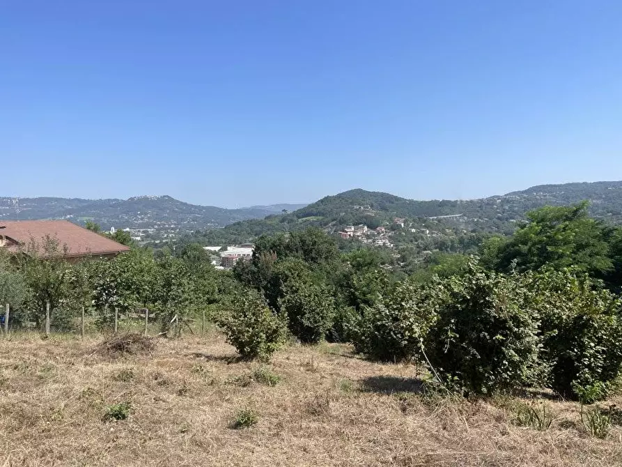 Immagine 6 di Terreno agricolo in vendita  in Contrada Castello a Atripalda