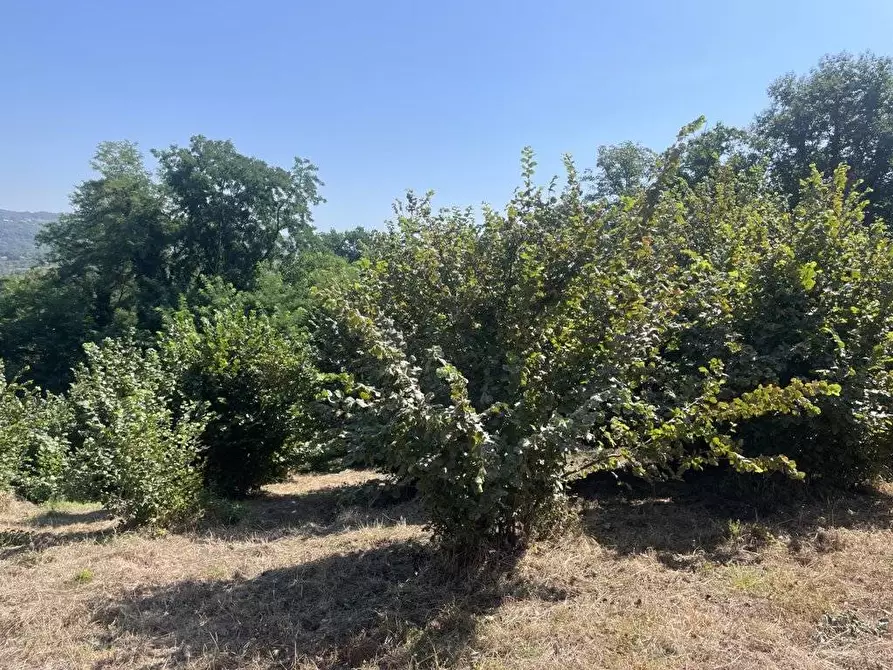 Immagine 7 di Terreno agricolo in vendita  in Contrada Castello a Atripalda