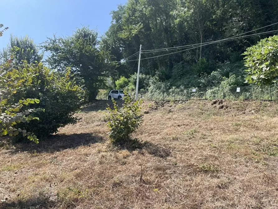 Immagine 8 di Terreno agricolo in vendita  in Contrada Castello a Atripalda