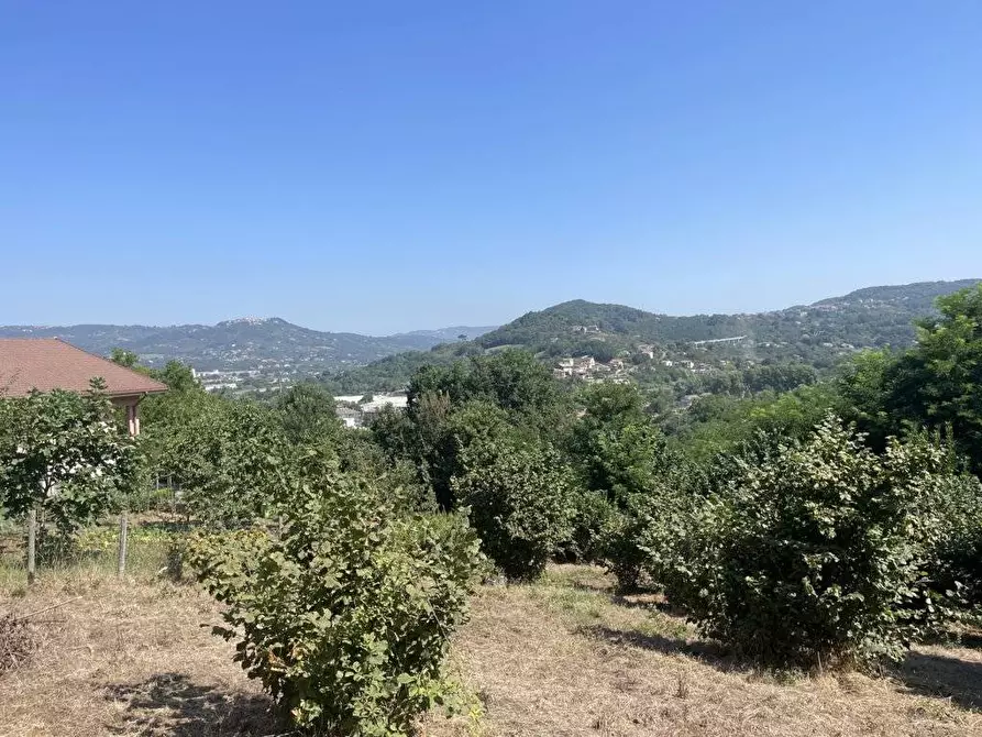Immagine 9 di Terreno agricolo in vendita  in Contrada Castello a Atripalda