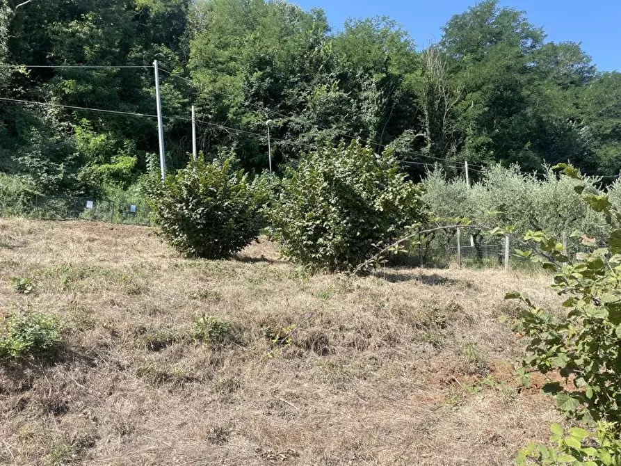 Immagine 10 di Terreno agricolo in vendita  in Contrada Castello a Atripalda