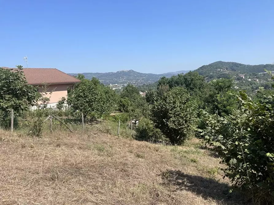 Immagine 11 di Terreno agricolo in vendita  in Contrada Castello a Atripalda