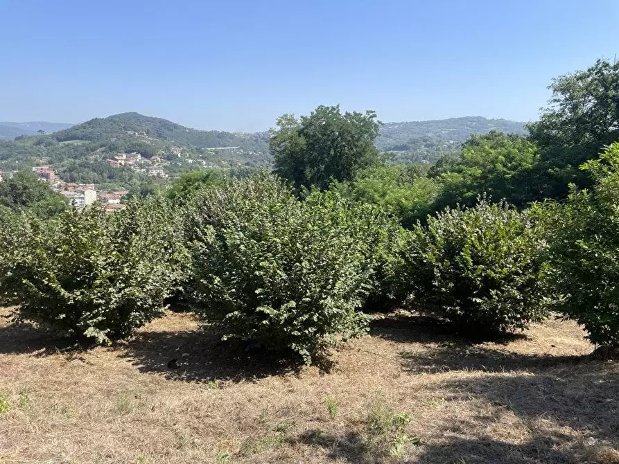 Immagine 13 di Terreno agricolo in vendita  in Contrada Castello a Atripalda