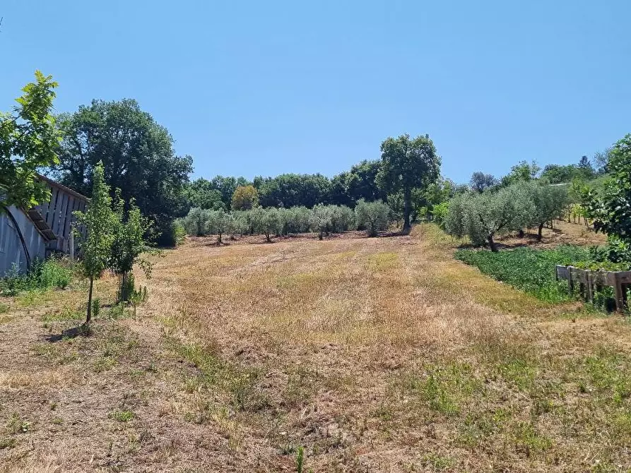 Immagine 20 di Casa indipendente in vendita  in Difesa Grande a Melito Irpino