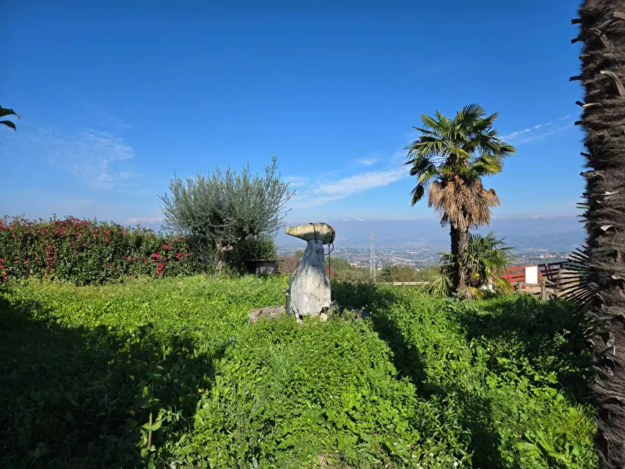 Immagine 4 di Villa in vendita  in via Cefalo Grifi a Torre Le Nocelle