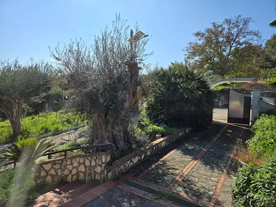 Immagine 5 di Villa in vendita  in via Cefalo Grifi a Torre Le Nocelle