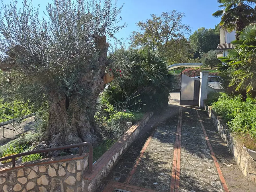 Immagine 7 di Villa in vendita  in via Cefalo Grifi a Torre Le Nocelle
